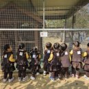 용마어린이집 이미지