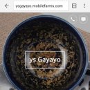 YS모바일 이미지