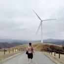 하백목장 이미지