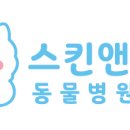 위너스 동물병원 이미지