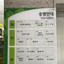 영스네일 이미지