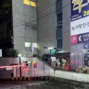 연우와 집 | 창원 상남동 맛집 -@연우 한돈 훈연의 풍미와 트러플...후기(짚불훈연 ,상남동맛집, 고기집,룸 고기집)