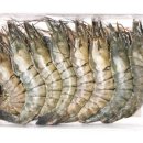 비타민 팜 오토캠핑장 이미지