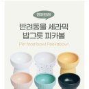 멍해묘해 이미지