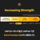 콤비타코리아 | 면연력 향상에 도움을 주는 콤비타 마누카꿀10+ 효능 섭취방법 주의사항 내돈내산 (feat. 비염탈출)