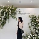 구로-구로-구로-2354 | [W-01]웨딩홀 투어 2탄 | 용인 솔스퀘어컨벤션 (계약x) - 견적 공유