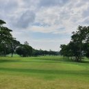 중앙골프 이미지