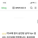 ＜남자 HPV 검사 가능한 전국 병원 목록＞ 이미지