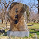 악양시장 이미지