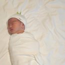 영아목장 | 신생아 분유추천: 위드맘 100일 제왕 분유 갈아타기 성공! 제왕절개 후기 및 신생아 분유량 정리