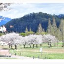 수변공원길 이미지