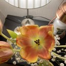 센텀비비의원 이미지