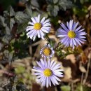 팔영산자연휴양림 이미지