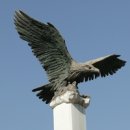 (주)네이쳐사이언스 이미지