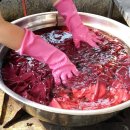 자연의 색 물들이기 이미지