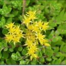 옥산농원 이미지