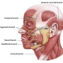 온세한의원 이미지
