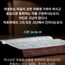 가운데