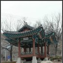 정자