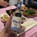강실장실내회포차 | 하는 월드컵경기장 근처 가성비 회 술집 ‘강실장회포차’ 재방문 후기 🐟 (원정팬분들께 강추 드려요!!!!)