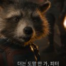 시네마노래짱 이미지