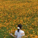 창선면보건지소 이미지