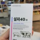 설파약국 네이버블로그