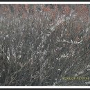 황새울공원 이미지