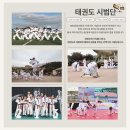 용호태권도 이미지