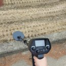 델로나 | 델로나 금속탐지기 후기