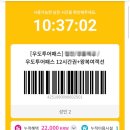 서빈투어 | 우도여행 꿀팁 우도투어패스 이용후기(+왕복배 포함) 우도배시간 차량선적