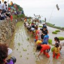 덕월녹색체험마을 이미지