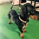 엔케이스피드 이미지