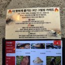 광선 | [부천 맛집] 식감 끝판왕, 돼지 특수부위가 매력적인 '광선집' 방문 후기