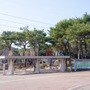 호암생태공원(장미원) | 울산대공원 동물원 주차장 입장료 볼거리 울산 아이랑 가볼만한곳