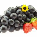 튼튼내과의원 이미지