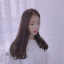 지노헤어효성점