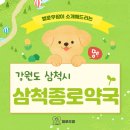 삼척종로약국 네이버블로그