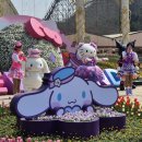 용인 에버랜드 산리오캐릭터즈 봄맞이 튤립축제! 첫날 다녀온 후기!