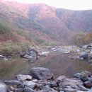 산울림농장 이미지