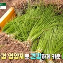 김동안농장 이미지