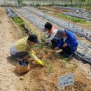 인환농장 이미지