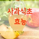 사과식초 효능 5가지 및 먹는법 부작용 만들기 다이어트 세안 효과 애플사이다비니거(사과초모식초) 이미지