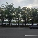 서울대공원 캠핑장 | 과천서울대공원캠핑장 / 주차팁, 전기카트이동후기