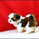 몽글몽글 이미지