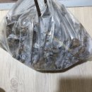 홍천건기 네이버블로그