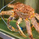 무화잠 | 강남 룸 맛집 무화잠 강남 가족모임 맛집 주말 한상차림