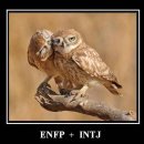 enfp intj 개웃기다 ㅅㅂ ㅋㅋㅋ 이미지