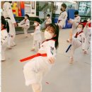 아리랑태권도 이미지