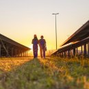 봉개동주민대책위원회1호 태양광발전소 | 신안군 신·재생에너지 개발이익 공유 등에 관한 조례 (법조문)